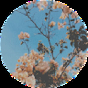 Meet your Posher, Amelia